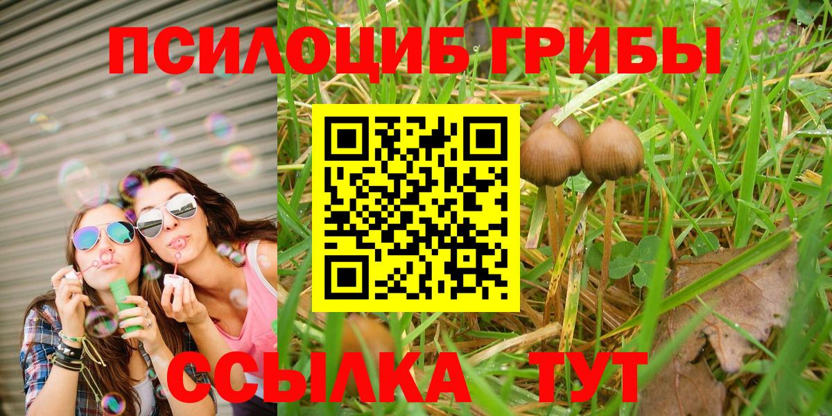 Галлюциногенные грибы Magic Shrooms Алексеевка