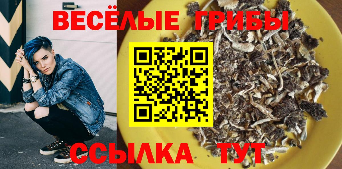 Алексеевка  купить наркоту  Вход с VPN  Галлюциногенные грибы Psilocybine cubensis 